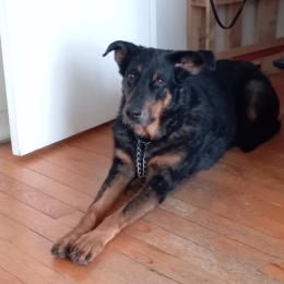 Ishka profile