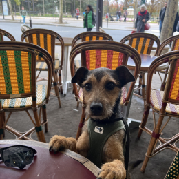 Filou profile