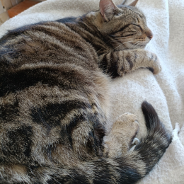 Coralie profile