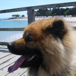 Viviane profile