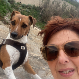 Romy et samba profile