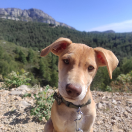 Charline profile
