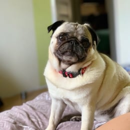 Ewann profile