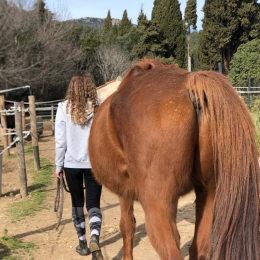 Angelina profile