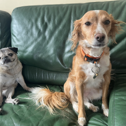 Kiwi et charlie profile