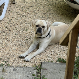 Otis profile