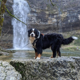Rio profile