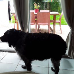 Martine profile