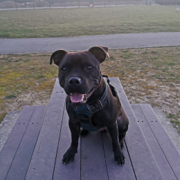 Tyna profile