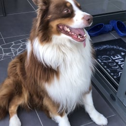 Lucky profile