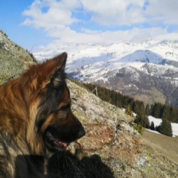 Naïa profile