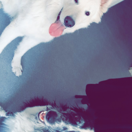 Panzer / nadjo profile