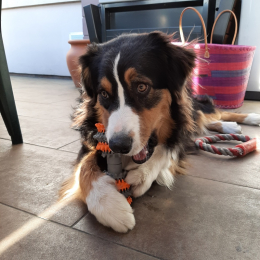 Profil inactif profile