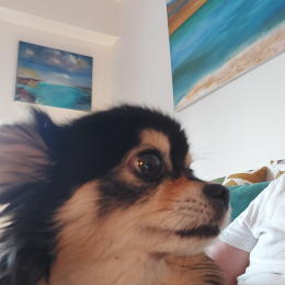 Mila profile