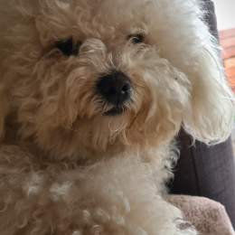 Rudy profile