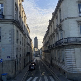 Louison profile