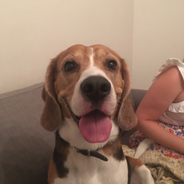 Gus profile