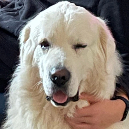 Mefasem profile