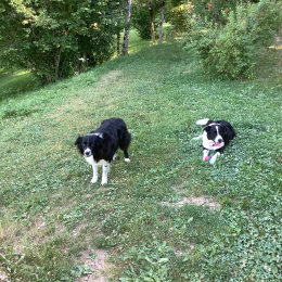 Rubis et ulysse profile