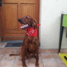 Zoé profile