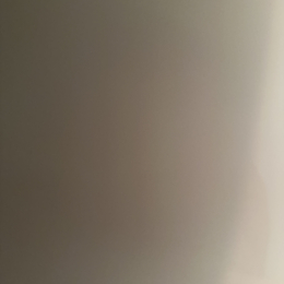 Asheesh profile