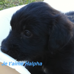 Nathalie profile
