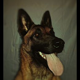 Manon profile