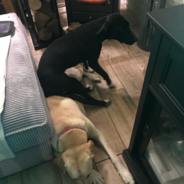 Sultan keita profile