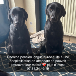 Vénus et victoria profile
