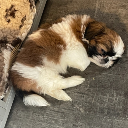 Cathy3772@orange.fr profile