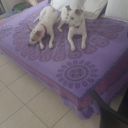 Nala & jasmin profile