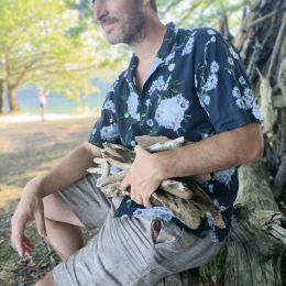Ludovic profile