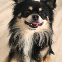 Nasho profile