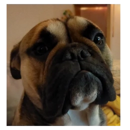 Raymond profile
