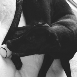 Railey profile