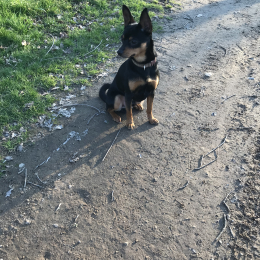 Snooky profile