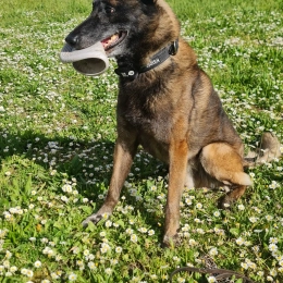 Shadow profile