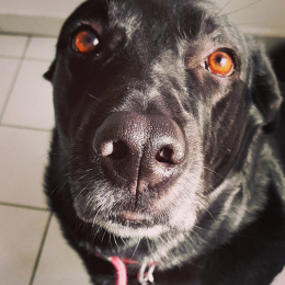 Rudy profile