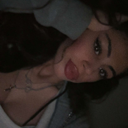 Ines profile