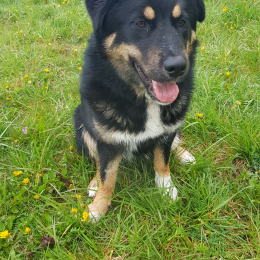 Sally profile