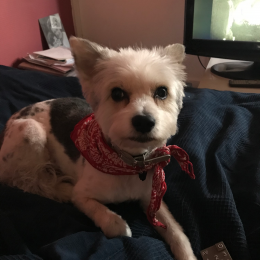 Billy profile