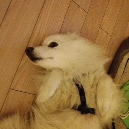 Winnie profile