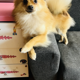 Roxy profile