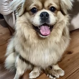 Max profile