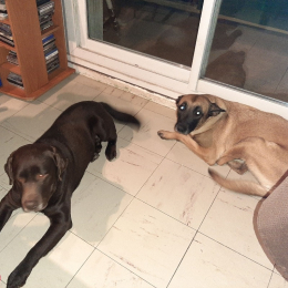 Junior et belle profile