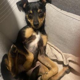Billy profile