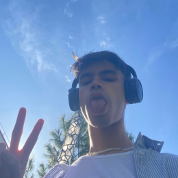Skander profile