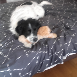 Doudou profile