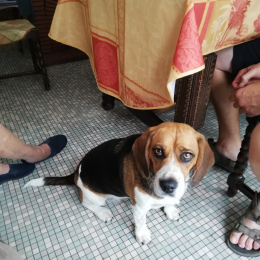 Nora profile