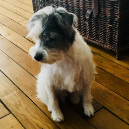 Gus profile